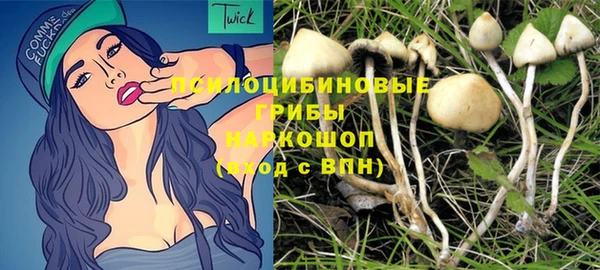мет Нягань