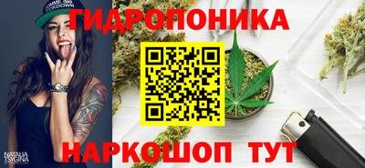 метадон Гусев