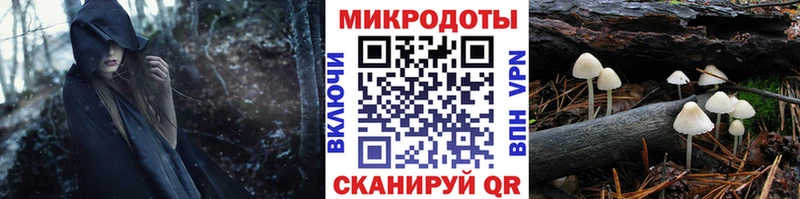 ОМГ ОМГ маркетплейс  Котлас  Галлюциногенные грибы Cubensis  купить наркоту 