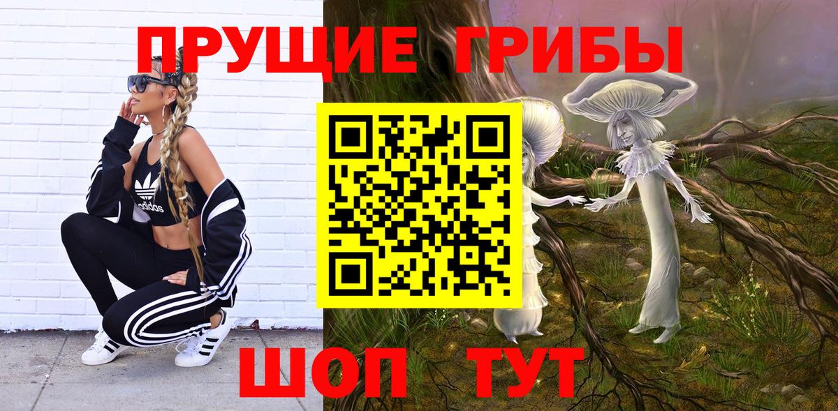 Галлюциногенные грибы Psilocybe  Галлюциногенные грибы прущие грибы  Котлас 