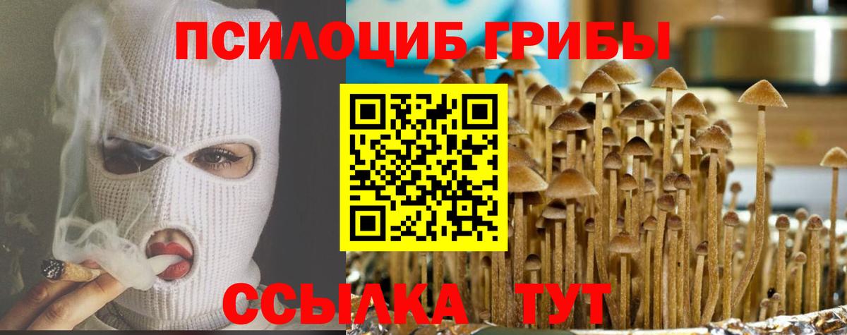 Галлюциногенные грибы Psilocybe  Галлюциногенные грибы прущие грибы  Вход с VPN  Котлас 